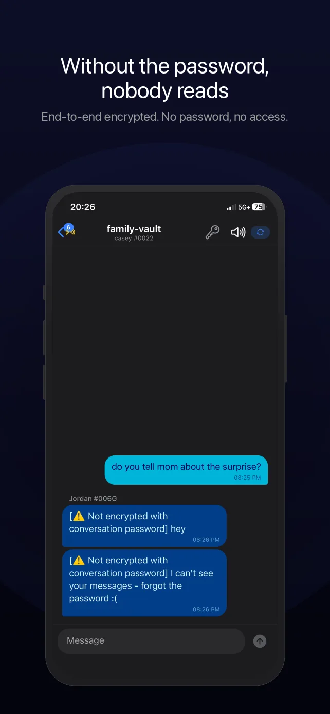 Encrypted conversation where a user without the password sees locked messages